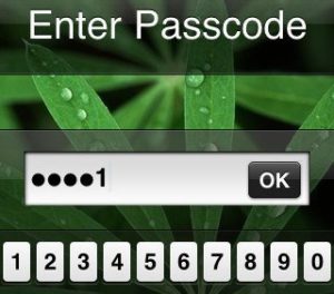 Passcode - Screenshot