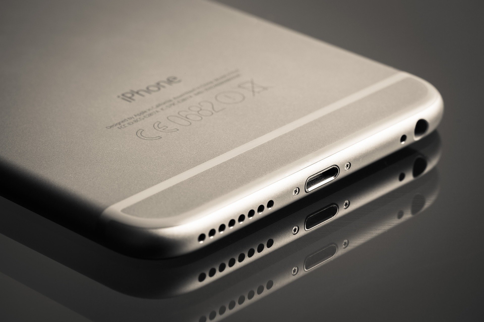 iPhone 6 silber (Rückseite und Lightning)