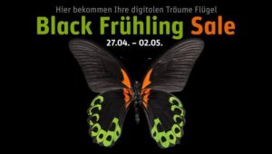 GRAVIS Black Frühling Sale Banner