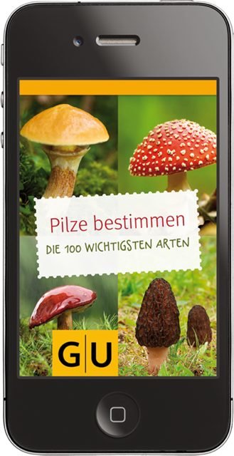pilze-sammeln-iphone-app_1